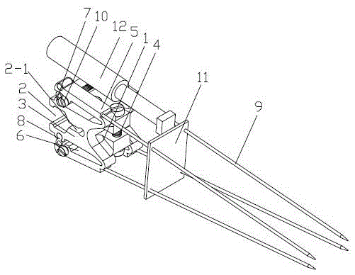 Transplantation seedling taking device