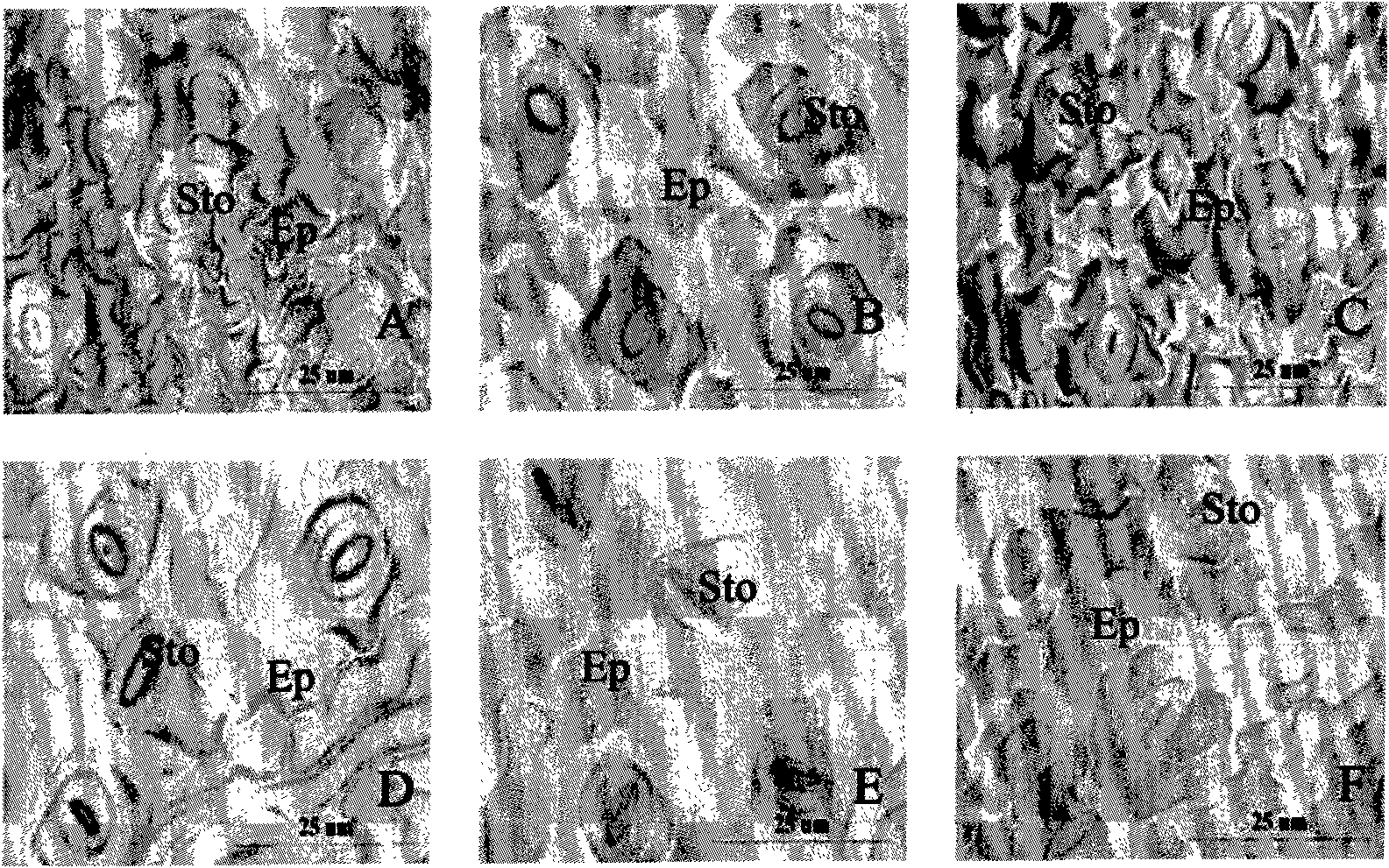 Method for controlling quick propagation light source for upland cotton