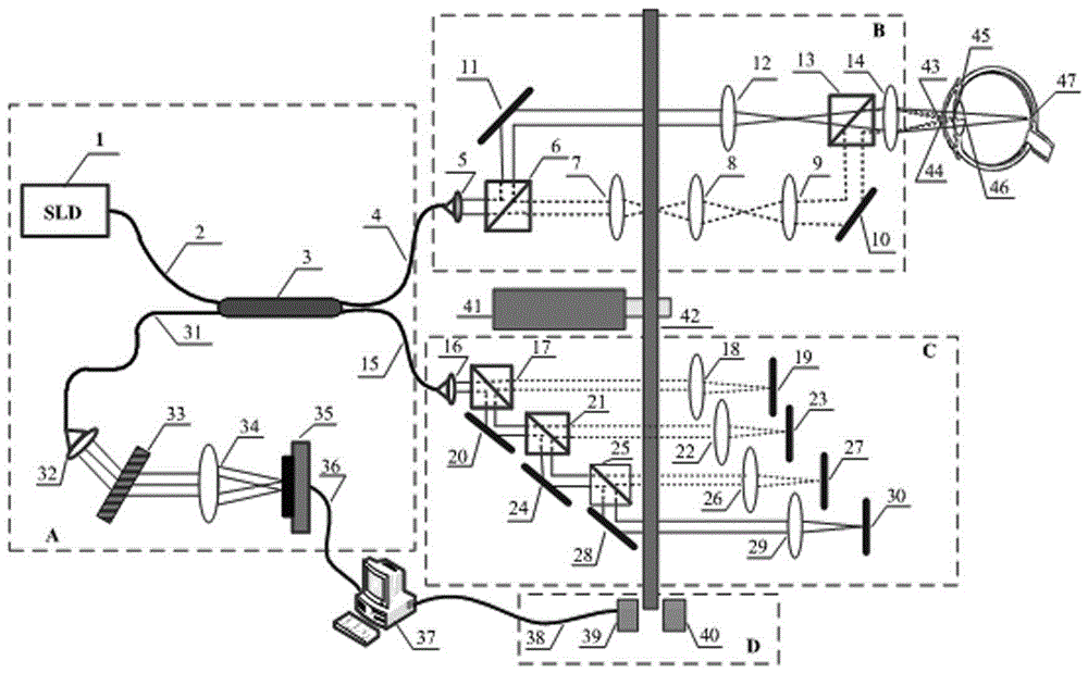 Optical coherence based human eye measurement device and optical coherence based human eye measurement method