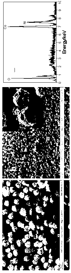 Spherical lithium ion battery anode material and preparation method of precursor thereof