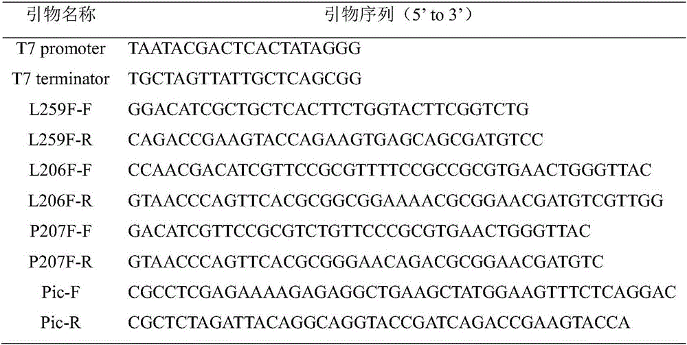 Lipase mutant deriving from talaromyces thermophilus, coding gene and application thereof