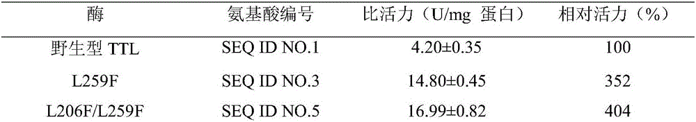 Lipase mutant deriving from talaromyces thermophilus, coding gene and application thereof