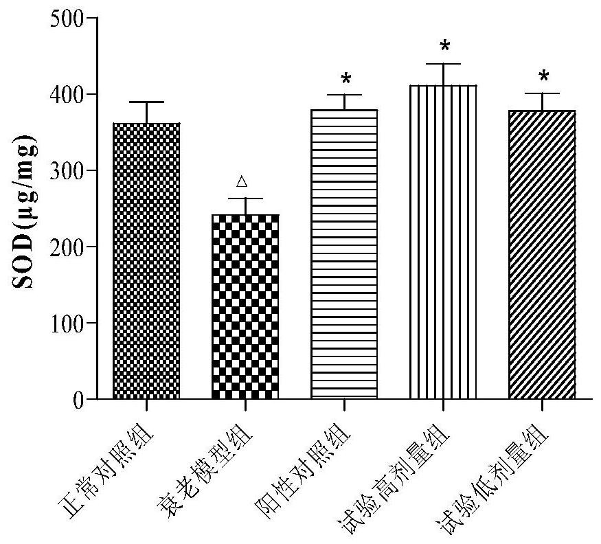 Application of traditional Chinese medicine composition in preparation of anti-skin aging medicines or cosmetics