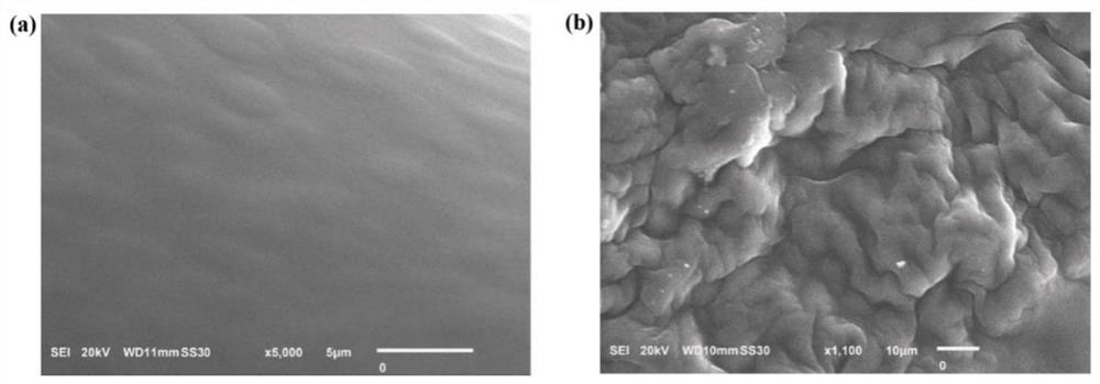 A kind of soluble-insoluble ucst type pmaac carrier, its immobilized enzyme and application