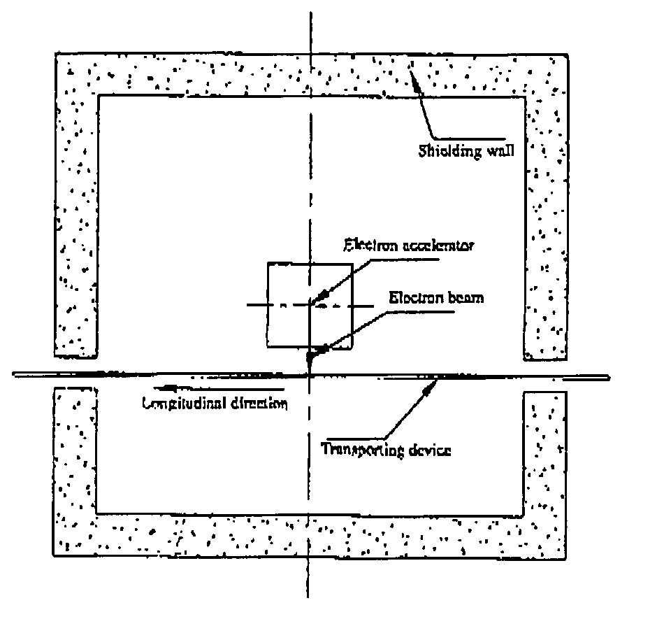 Self-shielded sterilization apparatus using electron beam irradiation