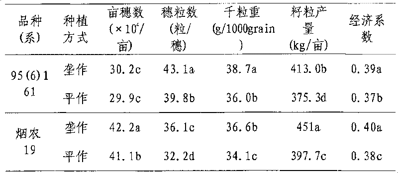 Wheat and peanut in two cropping system two crops one ridge water-saving yield-increasing cultivation method