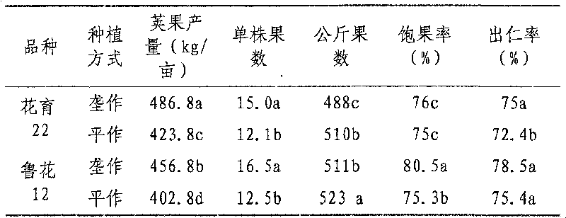 Wheat and peanut in two cropping system two crops one ridge water-saving yield-increasing cultivation method