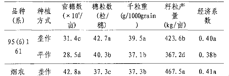 Wheat and peanut in two cropping system two crops one ridge water-saving yield-increasing cultivation method