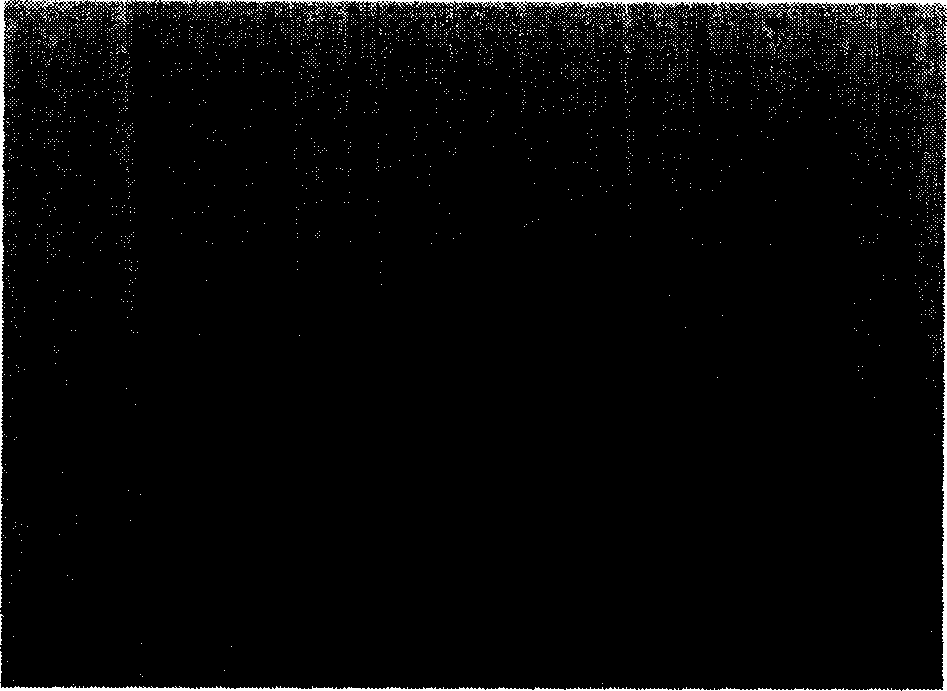 Method for preparing single blastomere chromosome