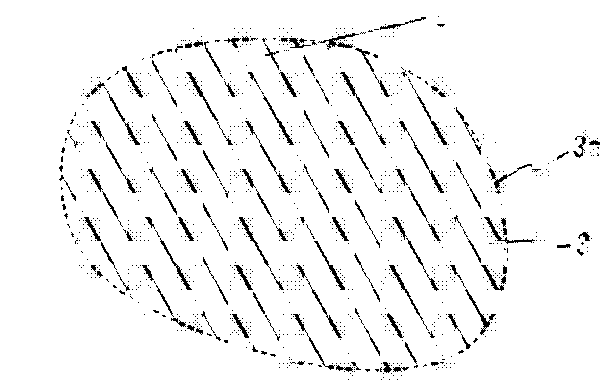 Color protection method for unripe chestnut