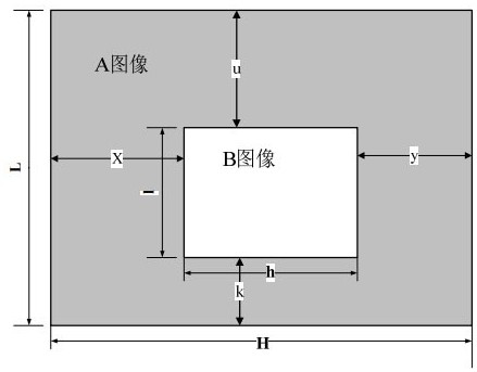 Radiation dose assessment method for animal organs in particle external irradiation experiments