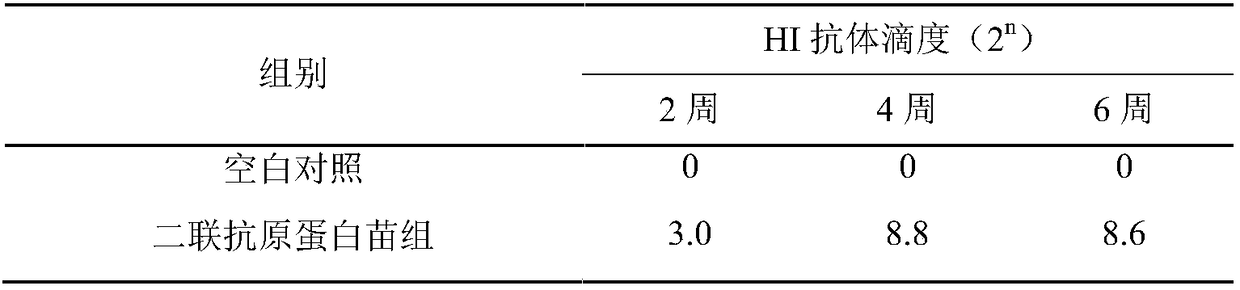 Preparation method and applications of chicken Newcastle disease and egg drop syndrome bivalent genetic engineering subunit vaccine