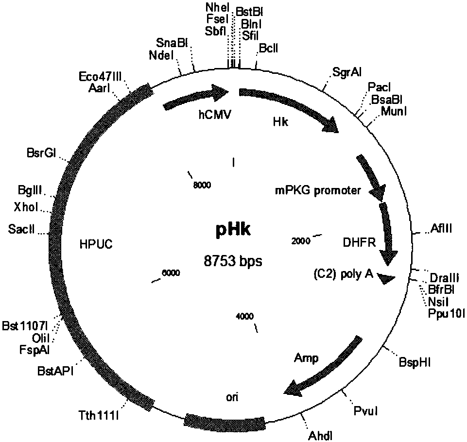 Preparation method and applications of chicken Newcastle disease and egg drop syndrome bivalent genetic engineering subunit vaccine