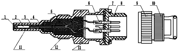 Temperature sensor encapsulation structure