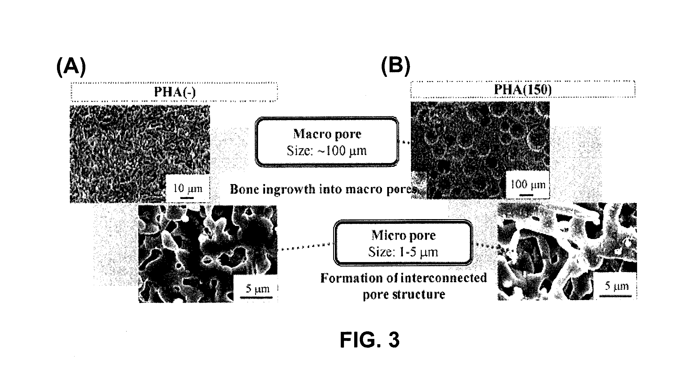 Biocompatible ceramic-polymer hybrids