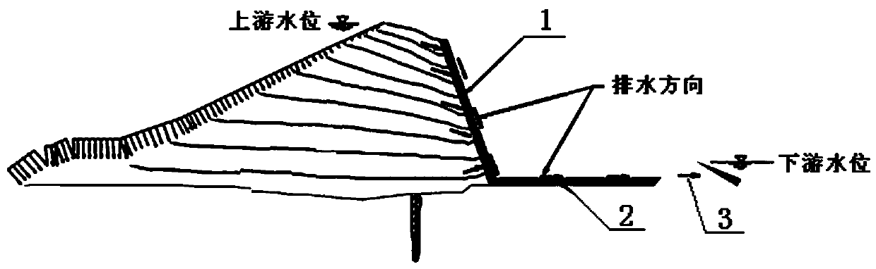 Construction method for drainage structure of dam body of homogeneous earth dam