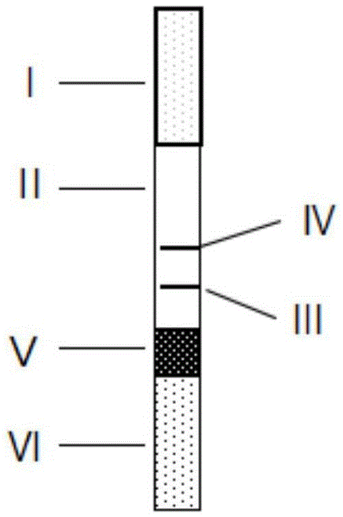 Manufacturing method of detection device for quantitatively detecting SAA/PCT/CRP at same time