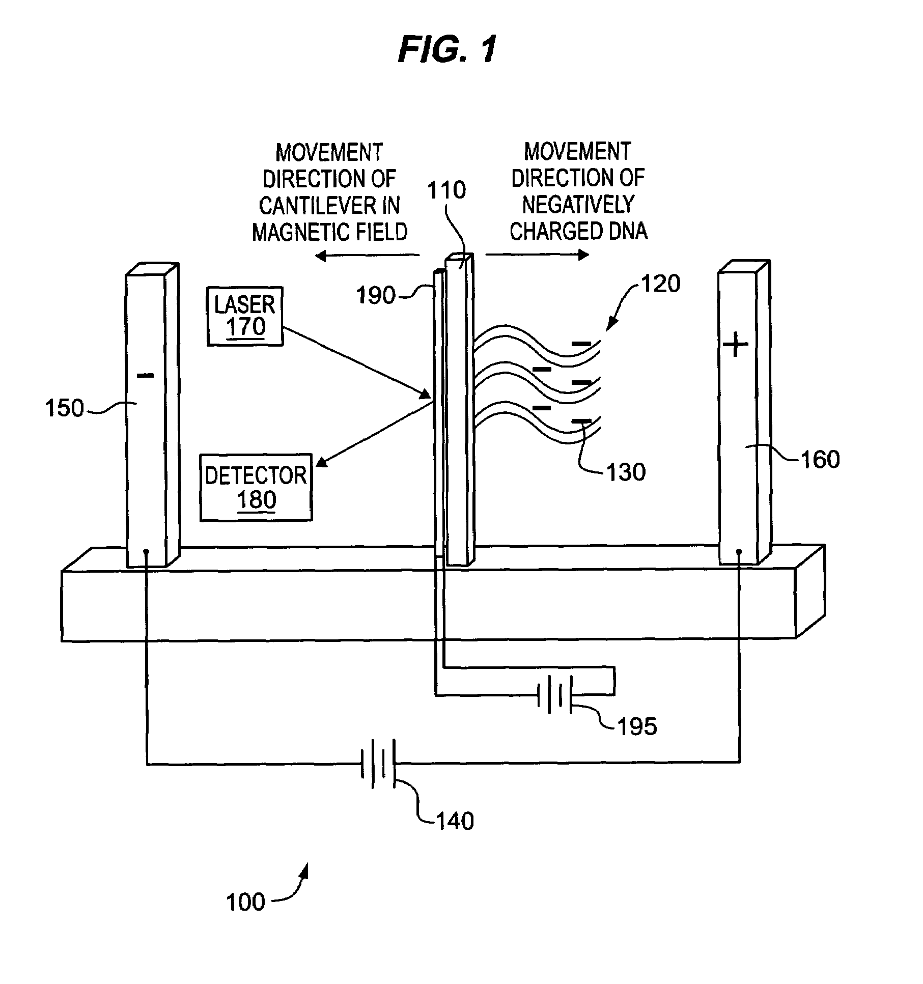 Detecting molecular binding by monitoring feedback controlled cantilever deflections