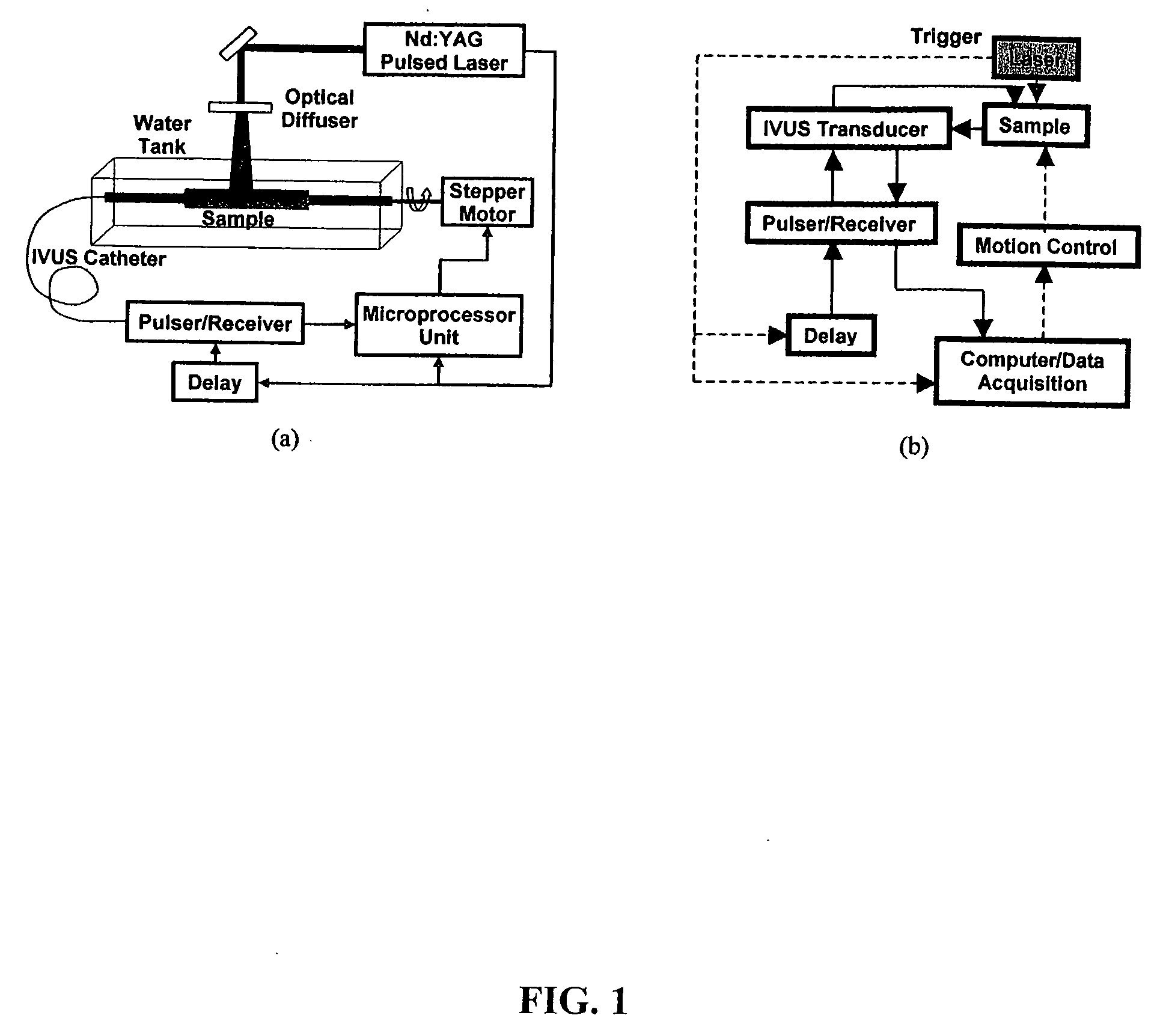 Intravascular photoacoustic and utrasound echo imaging