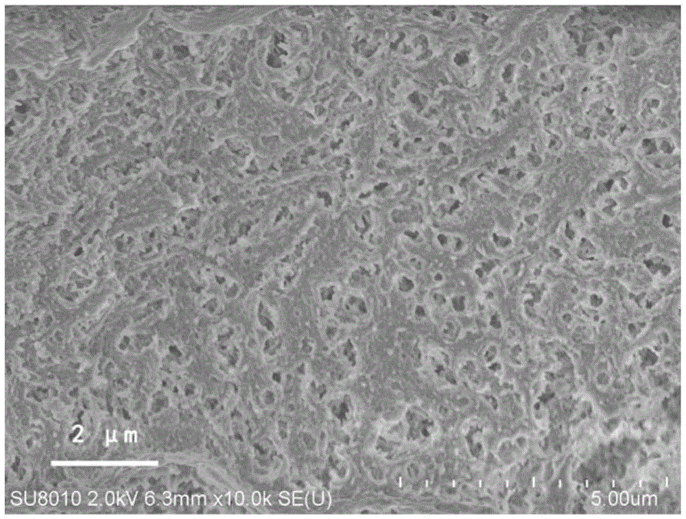 Method for preparing high-specific-surface-area continuous SiO2 porous fiber through natural drying method