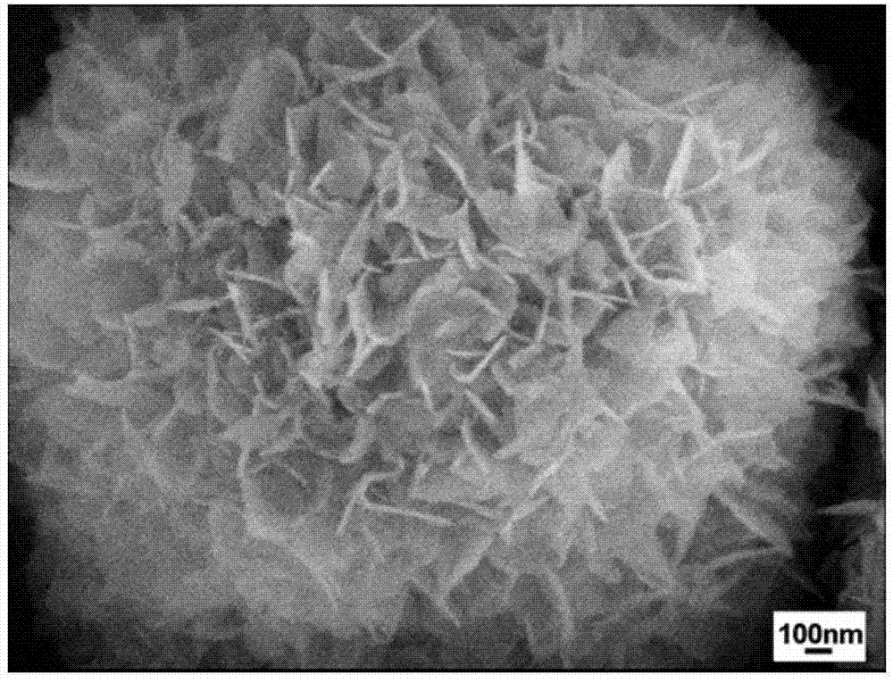 Porous hydroxyapatite flower-like microspheres and preparation method thereof