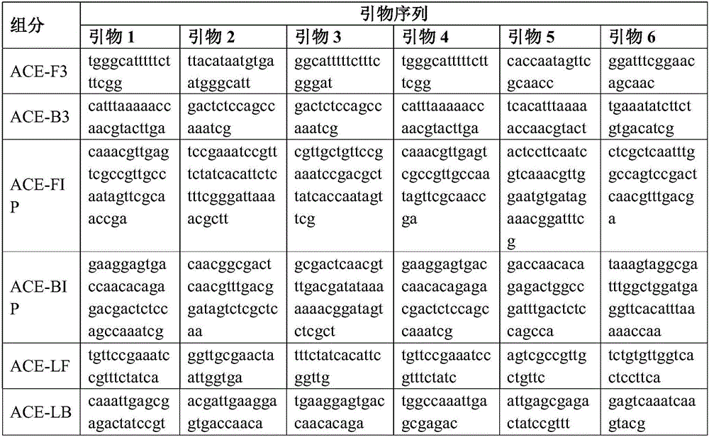 Streptococcus faecalis powdering LAMP rapid detection kit, and use method thereof