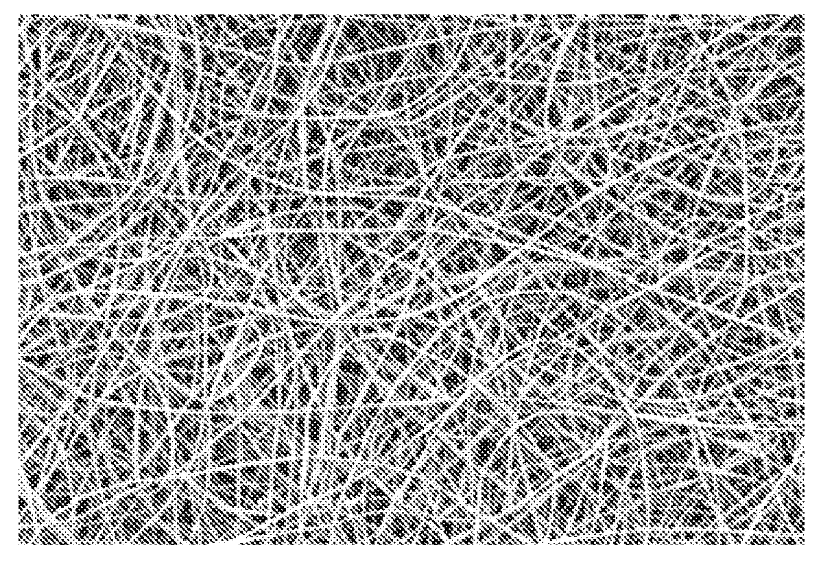 Polypeptide electrospun nanofibrils of defined composition