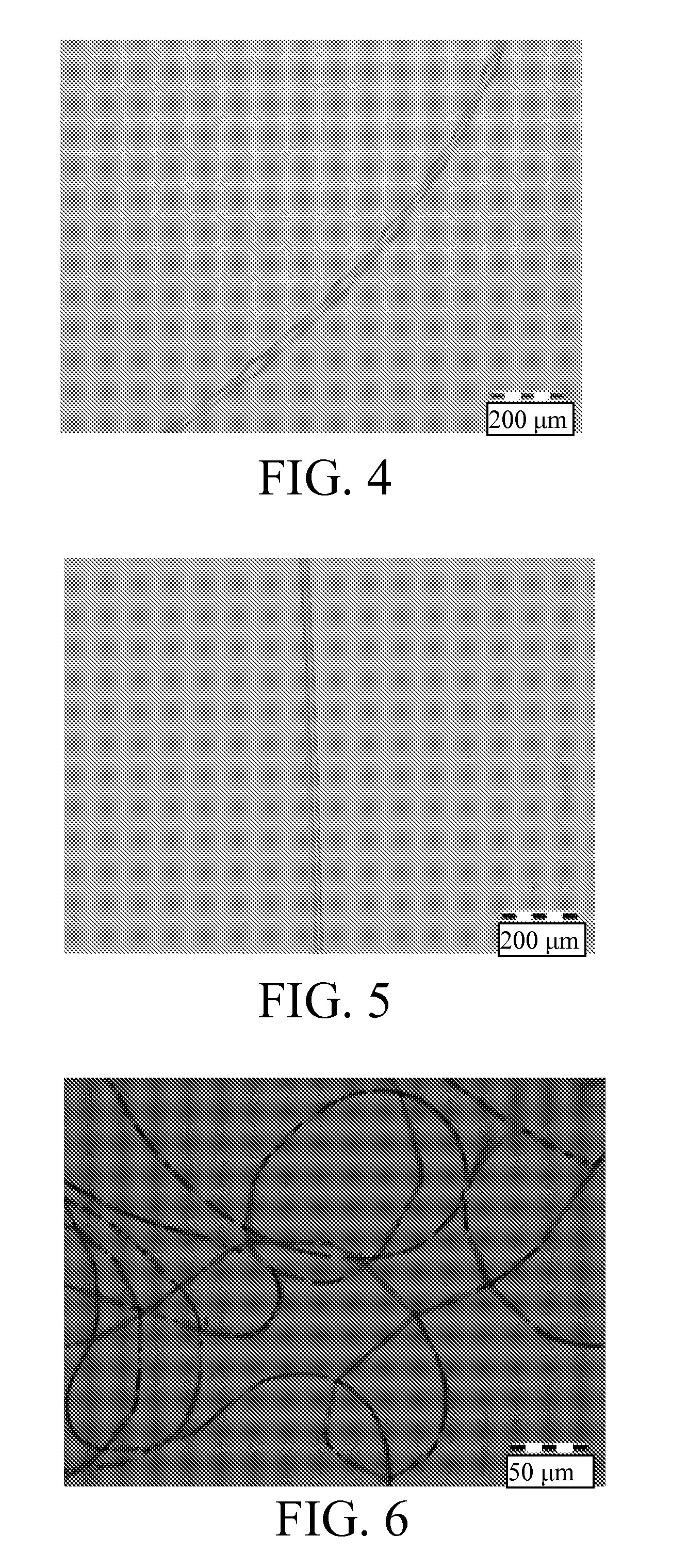 Polypeptide electrospun nanofibrils of defined composition