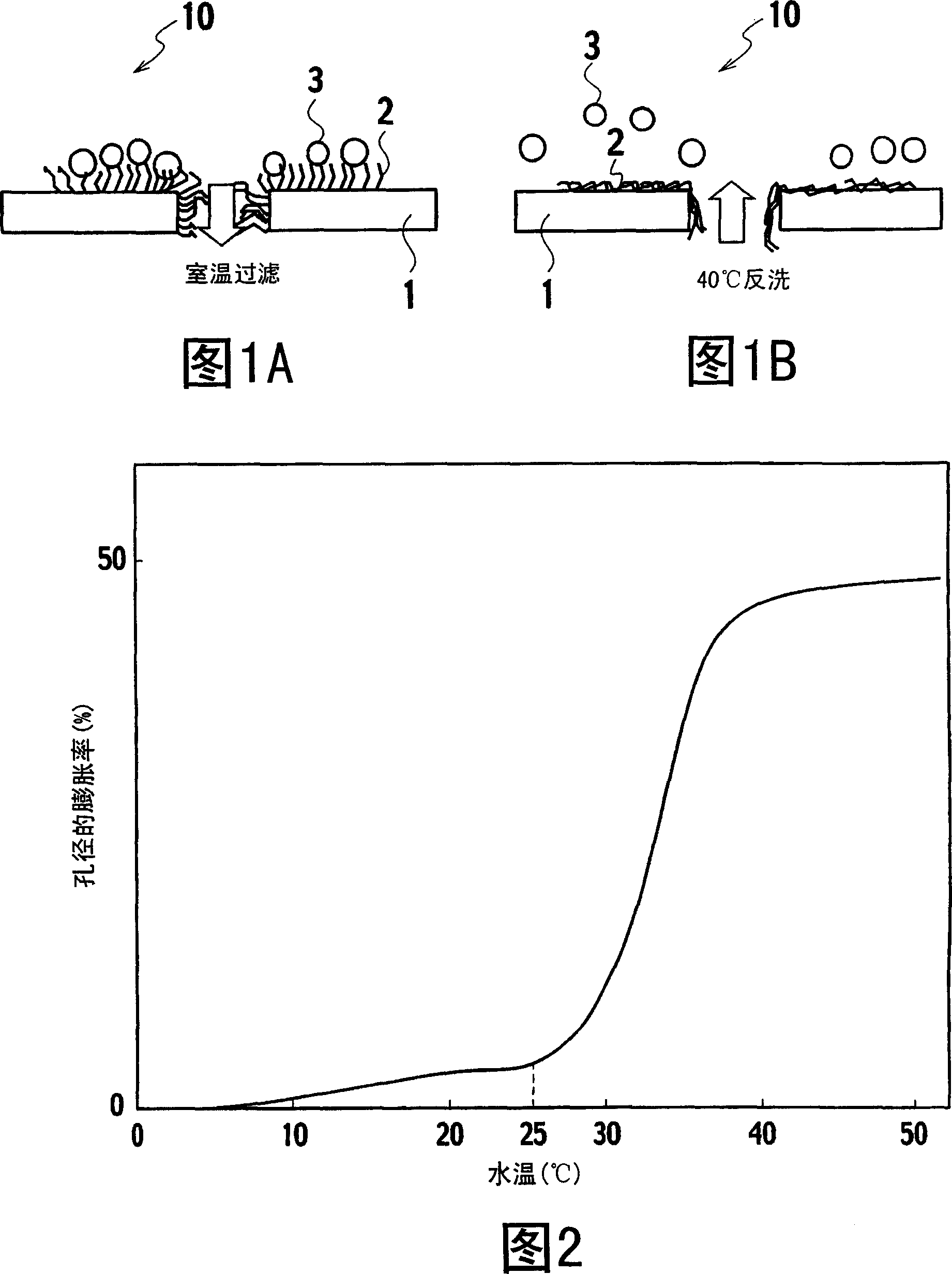 Temperature-responsive membrane, temperature-responsive membrane module, and membrane filtration system in which the same are used