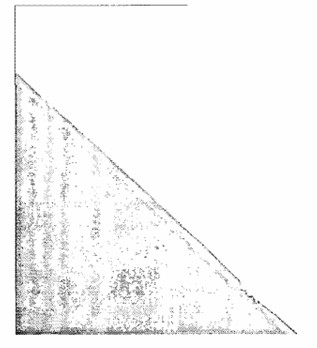 Method for oxidizing brake master cylinder