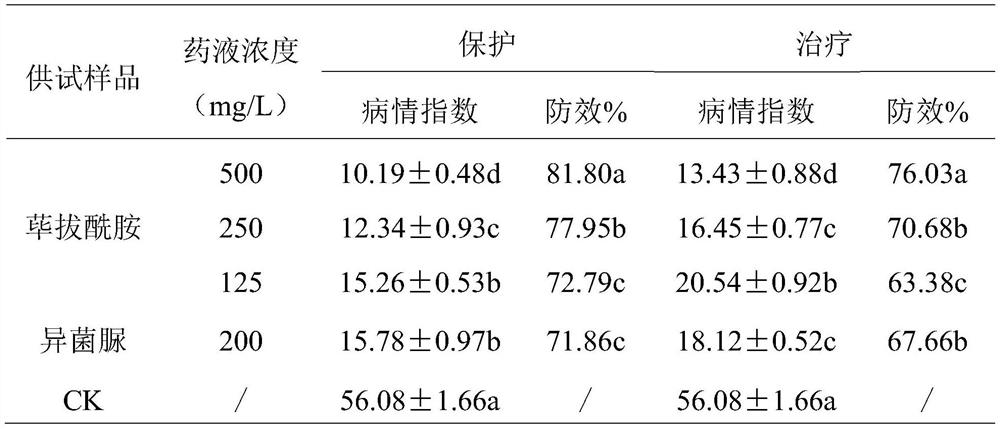 Application of piperlongumine in preventing and treating plant pathogenic fungi