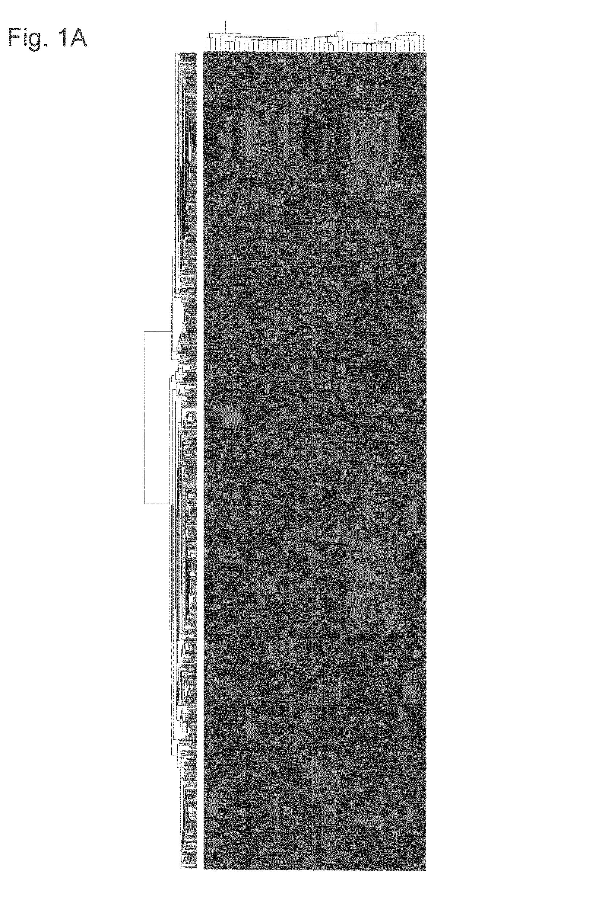 Method for treating synovial sarcoma