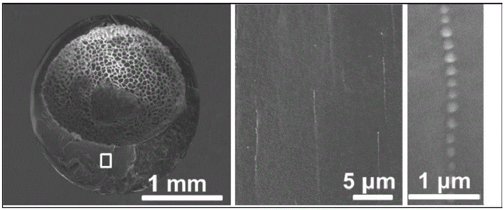 Magneto-chromic self-orienting photonic crystal ball and preparation method thereof