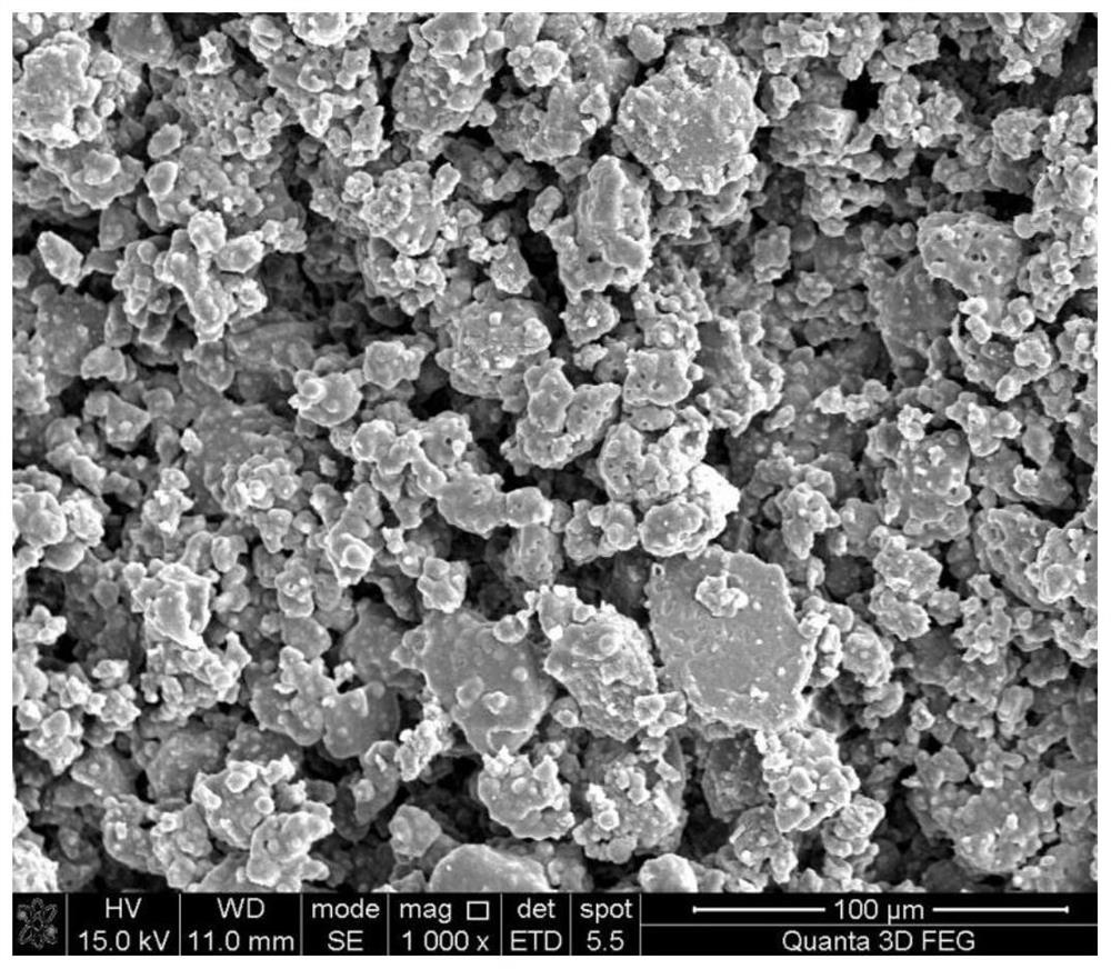 Super-hydrophobic coating for alkali efflorescence resistance of cement mortar and preparation method of super-hydrophobic coating