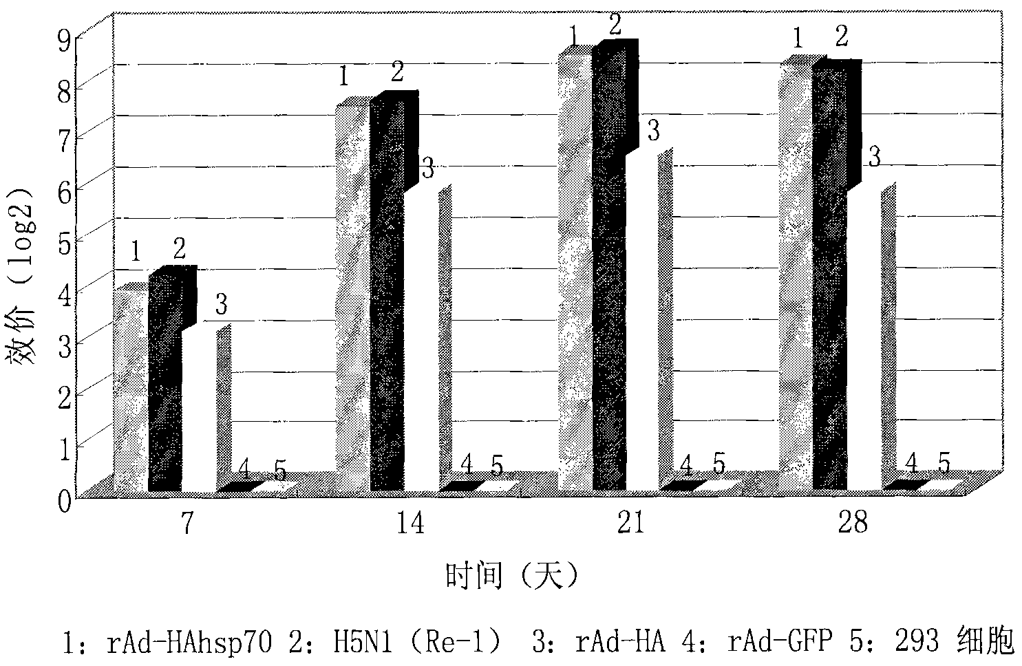 Adenovirus vector avian influenza recombinant vaccine