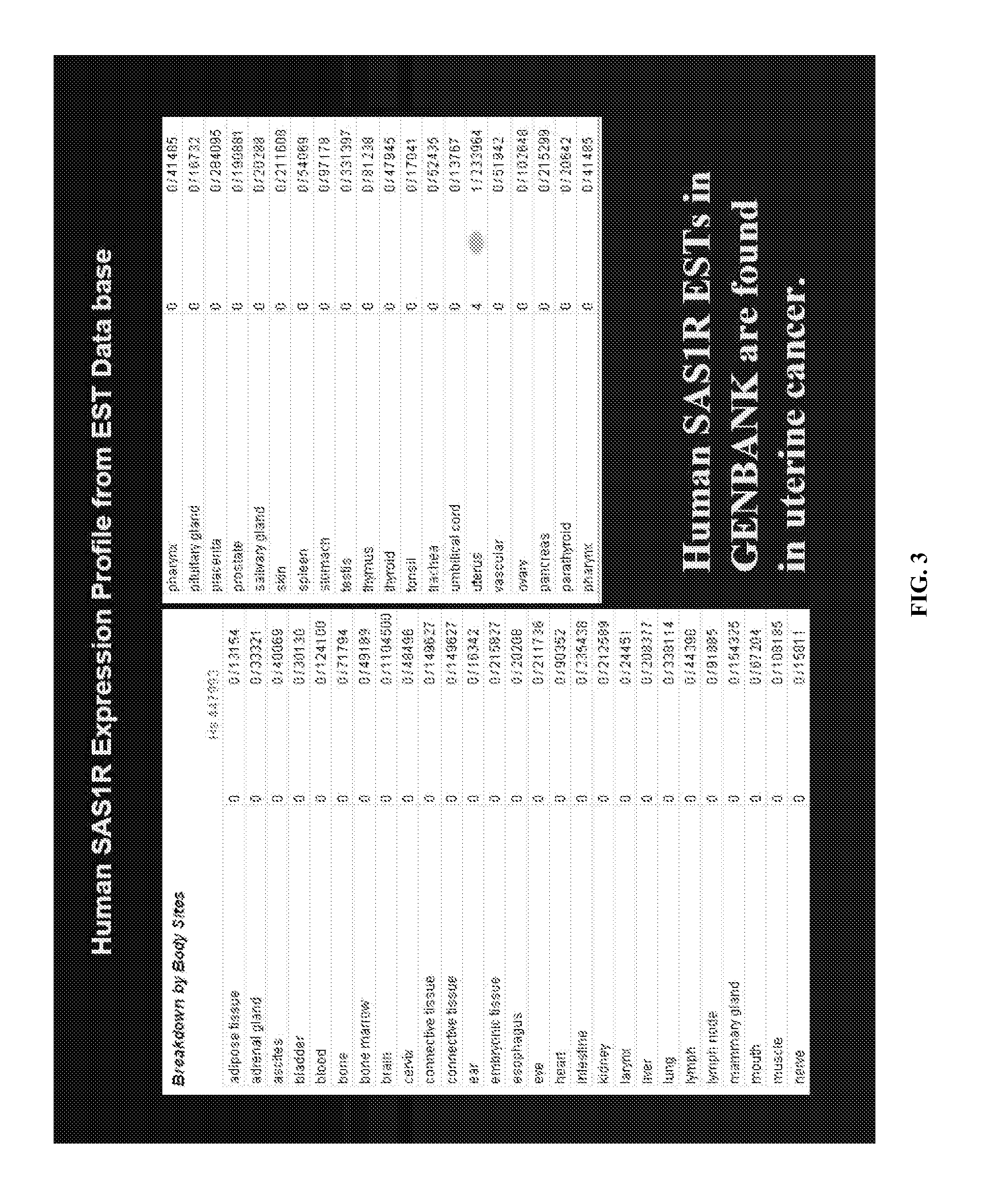 Compositions and methods for detecting, diagnosing, and treating cancer