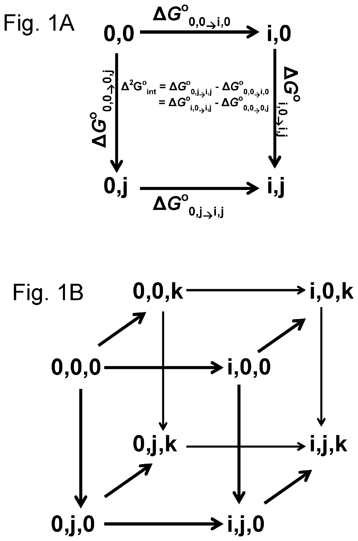 D-stereospecific aminoacyl-tRNA synthetase and method of producing D-stereospecific aminoacyl-tRNA synthetase