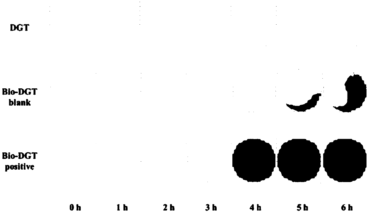 Biological membrane DGT device and method for simultaneously and quantitatively monitoring effective state content and cell genetic toxicity of target