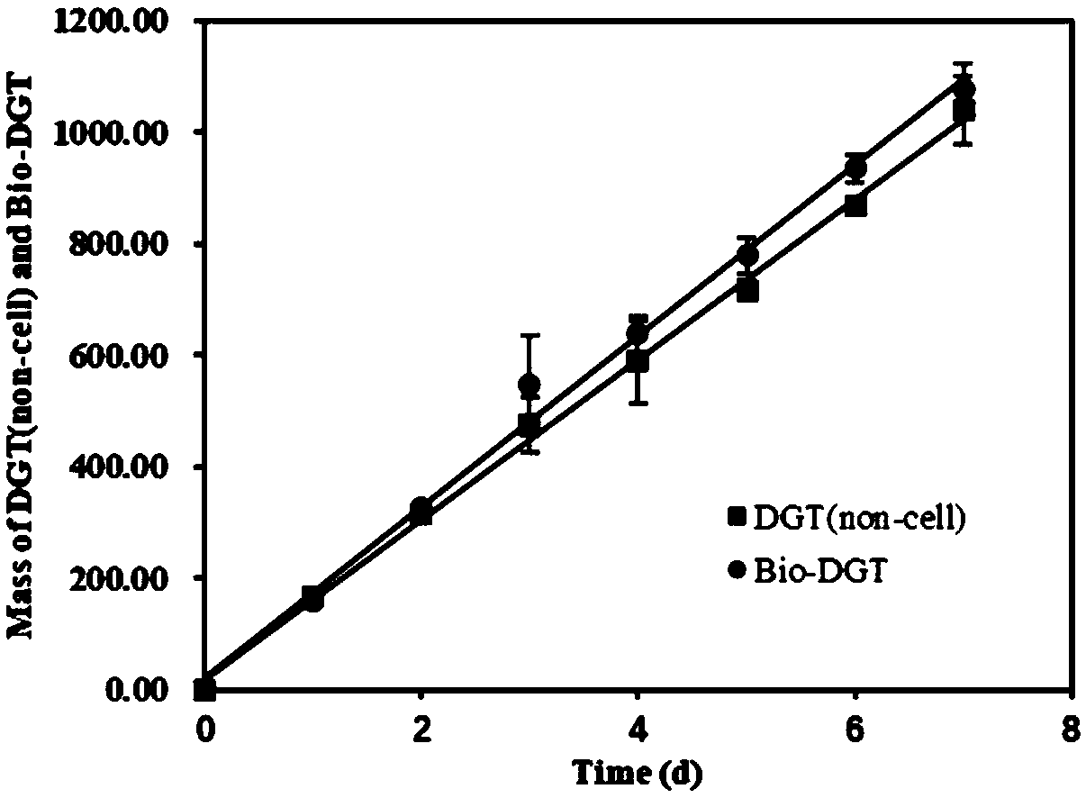 Biological membrane DGT device and method for simultaneously and quantitatively monitoring effective state content and cell genetic toxicity of target