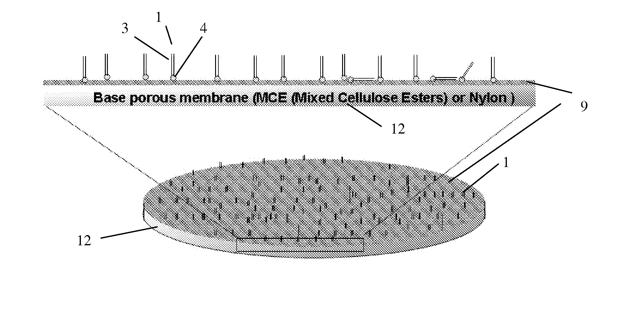 Nanofabricated Membrane Using Polymerized Proteoliposomes