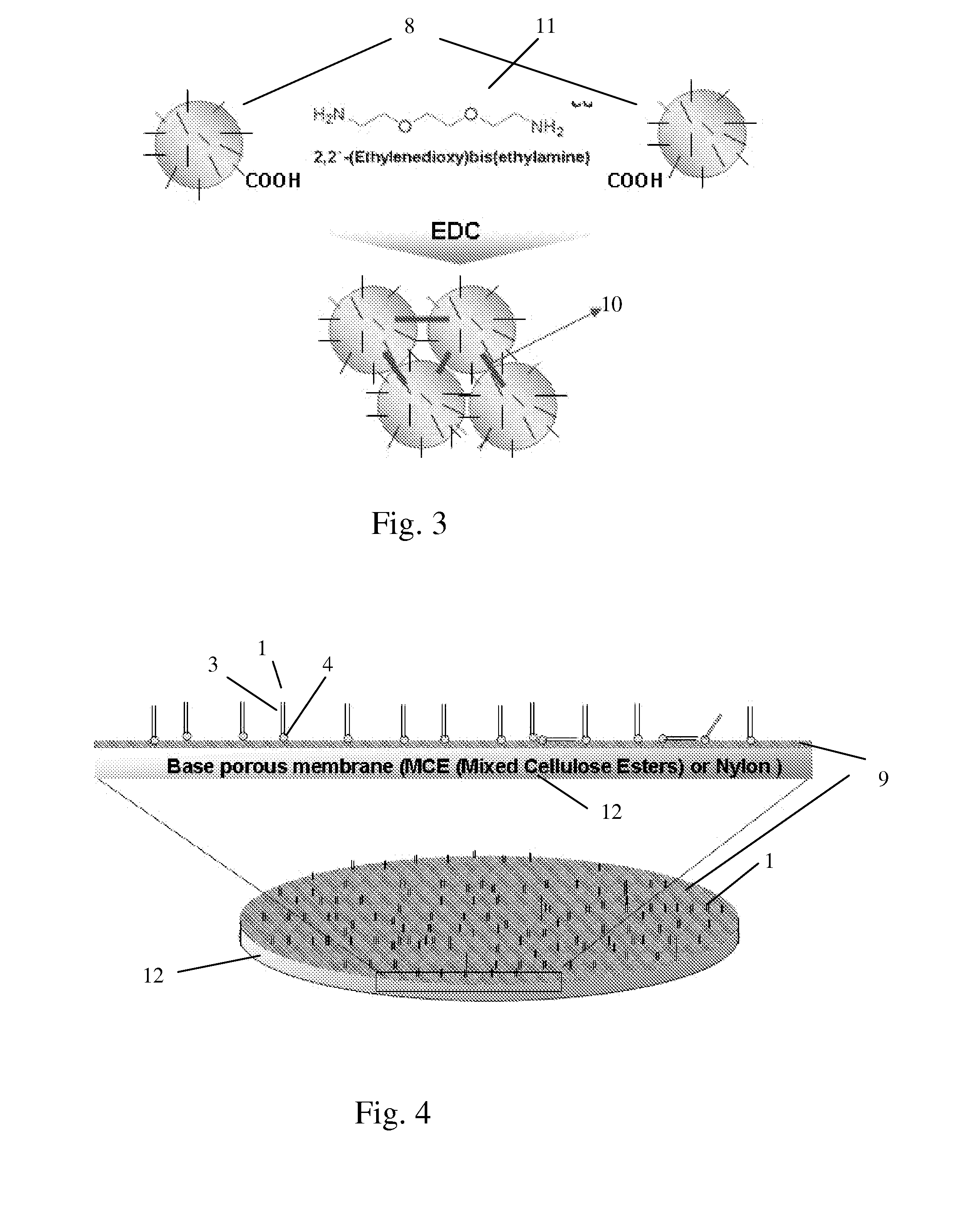 Nanofabricated Membrane Using Polymerized Proteoliposomes