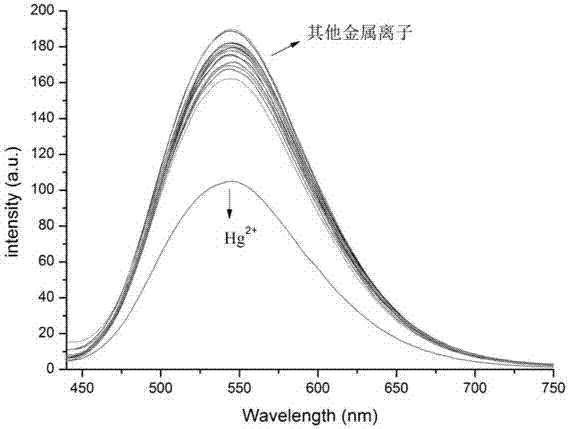 Tetraphenyl ethylene-diaminomaleonitrile derivative and preparation method and application thereof