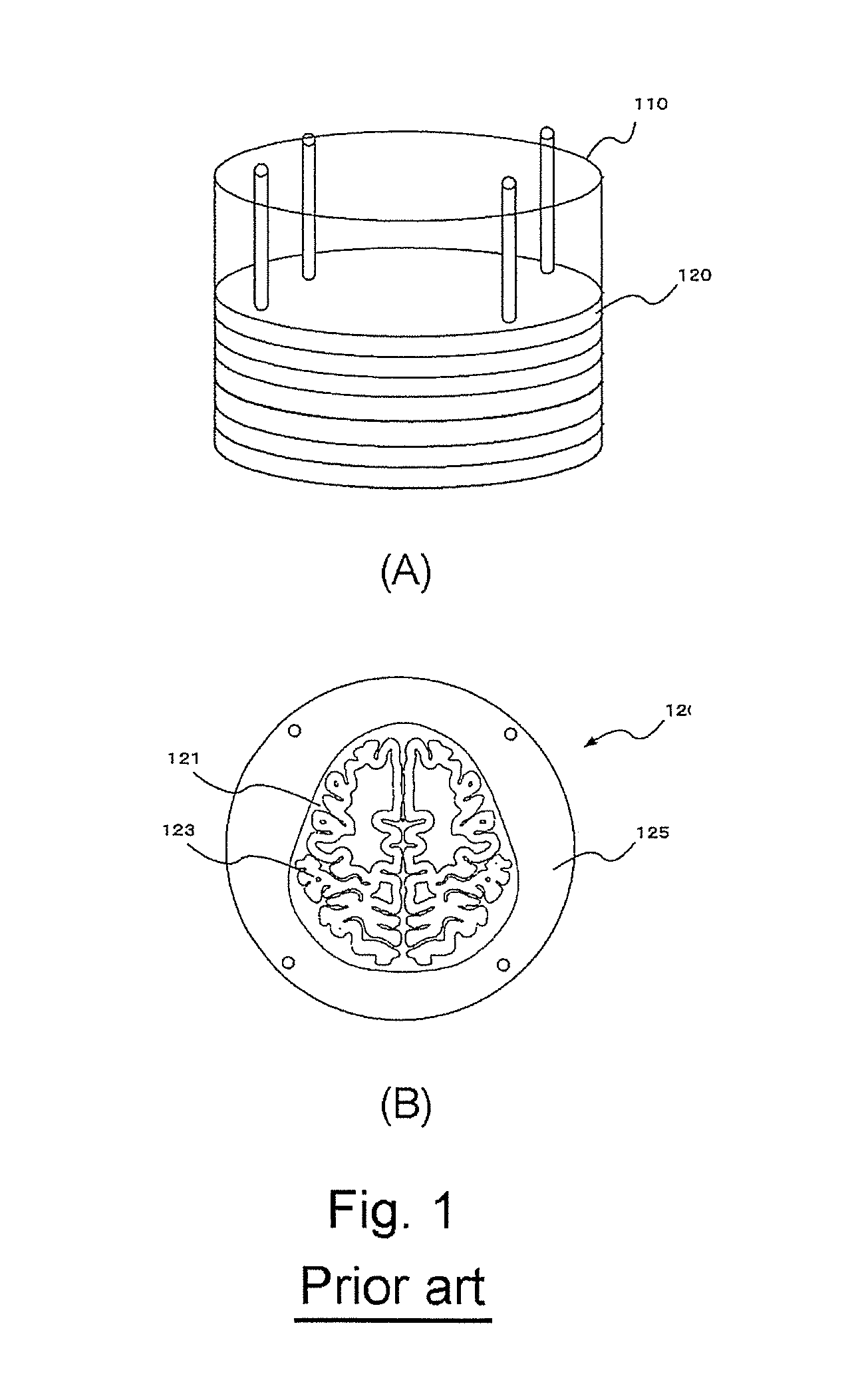 Head model for brain-imaging device and technique for producing same