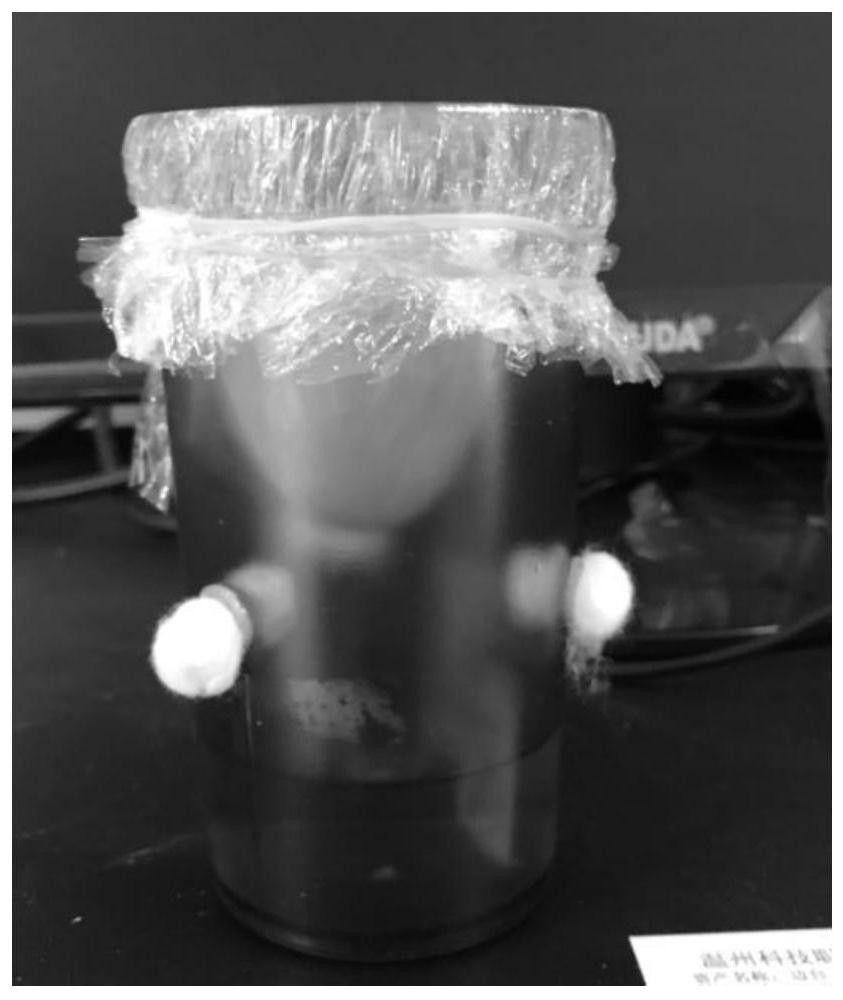 Observable chick embryo transferring incubation design