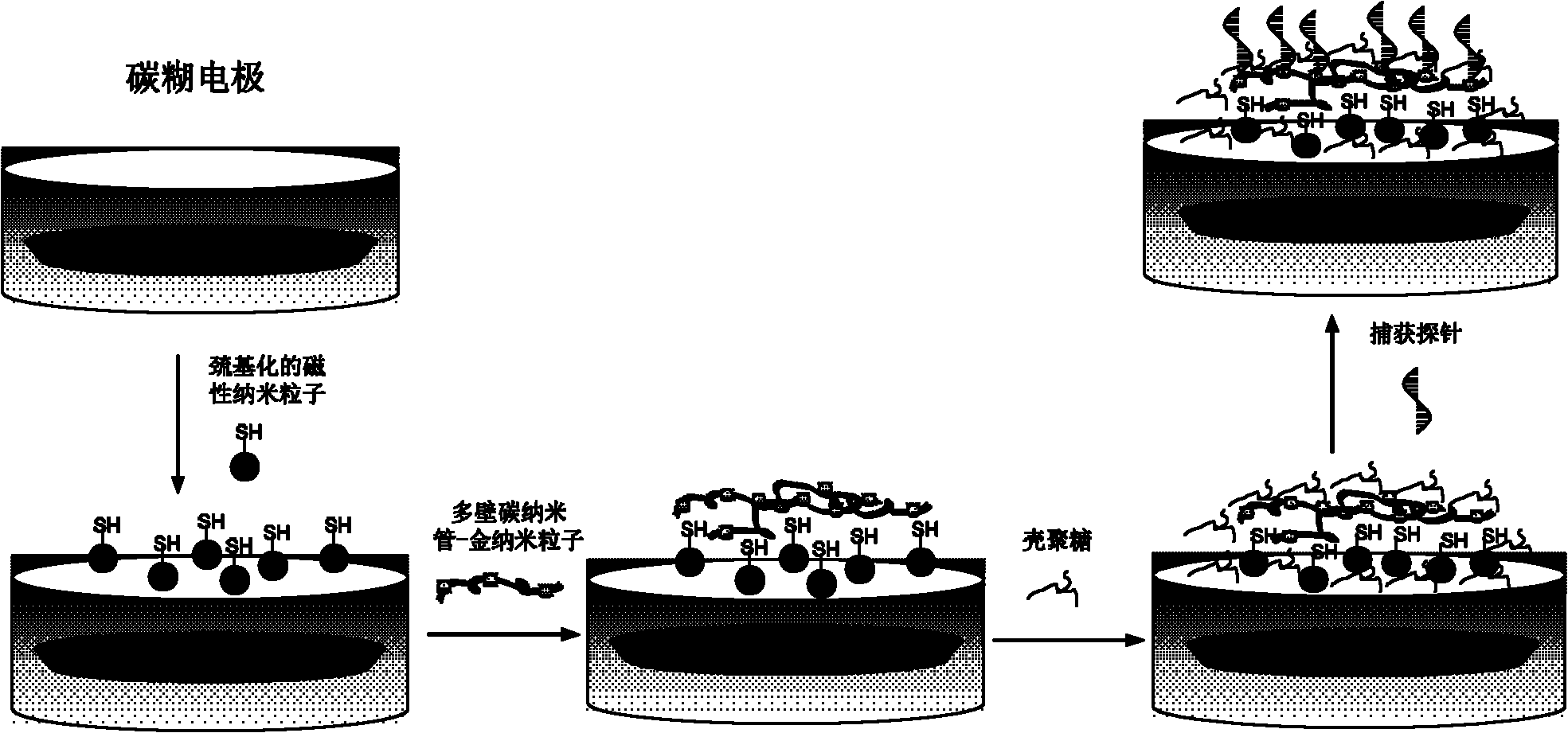 Composite film modified DNA sensor and its preparation method and application in detection of lignin peroxidase (Lip) specific coding gene segment