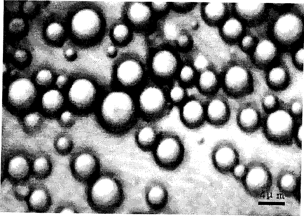 Lornoxicam microsphere and preparation method thereof