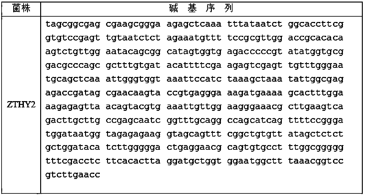 Rhodotorula mucilaginosa mutant strain and application thereof