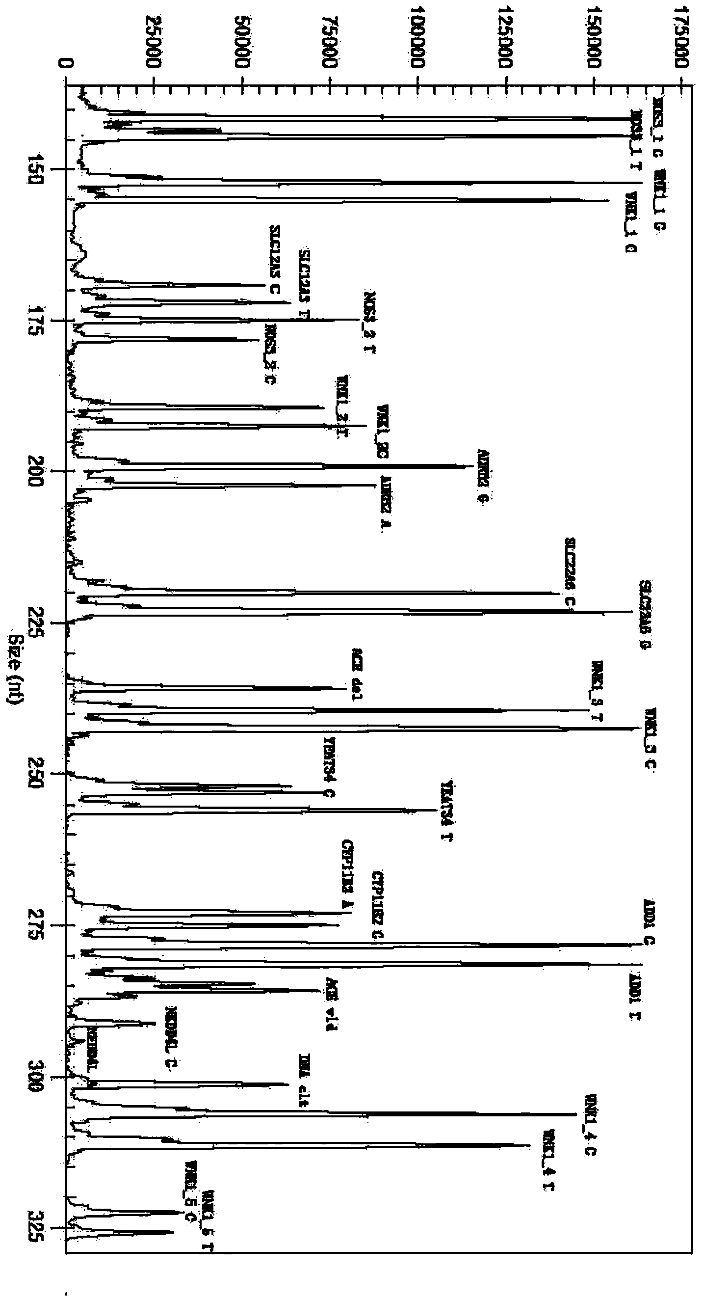 Primer composition and multiple-gene detection kit for guiding administration of thiazine diuresis drugs and application method thereof