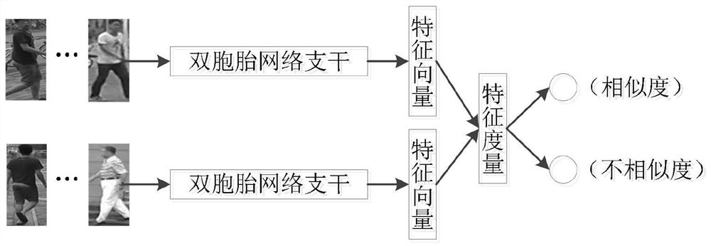 Pedestrian re-identification method and system based on depth conditional random field