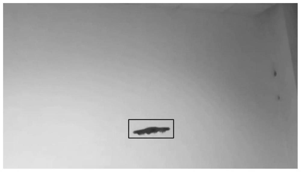 Automatic detection and tracking method based on target adaptive projection